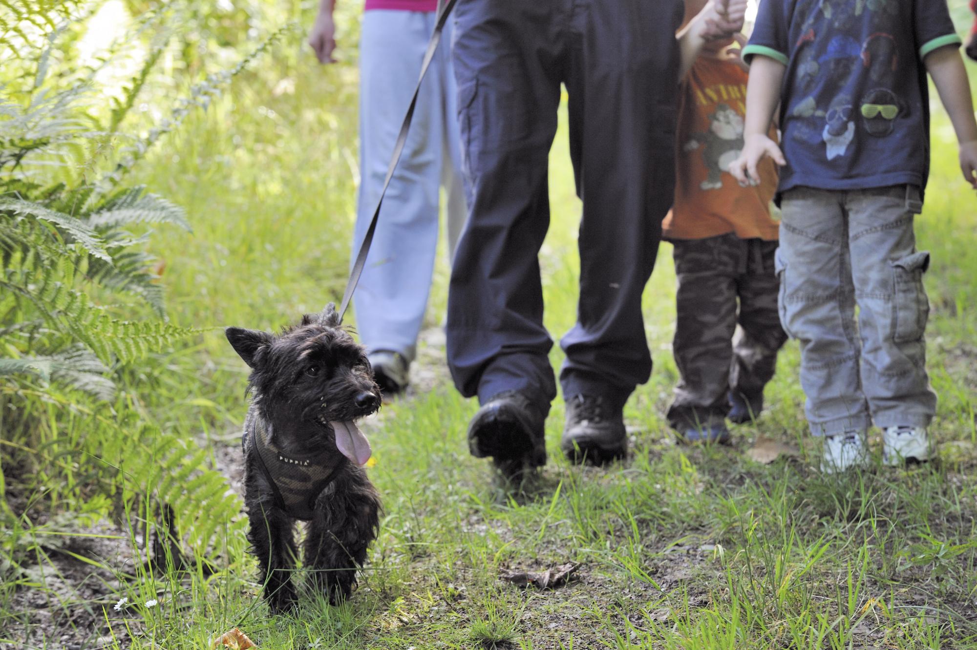 Family walking at Dunardry near Crinan, Argyll and Stirling Area.