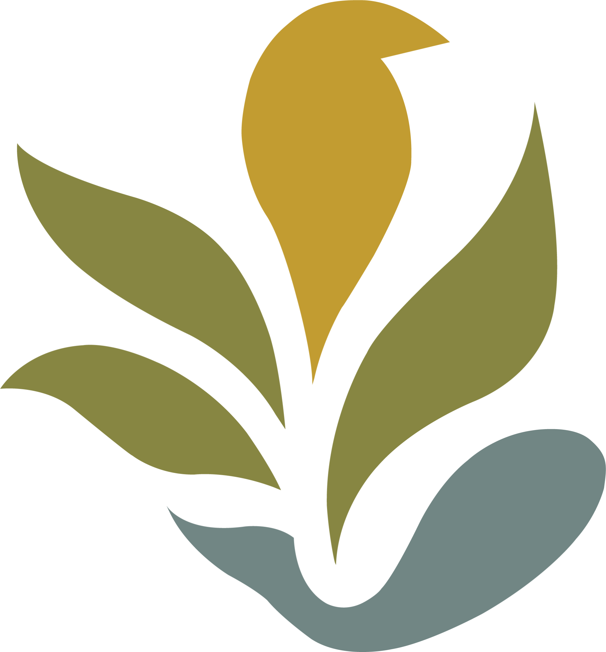 NNR Logo - colour