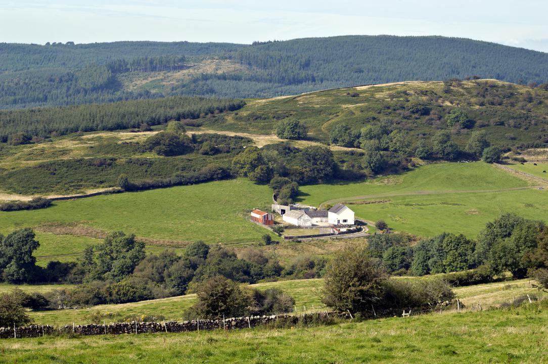 Scotland's Natural Capital Programme -  stock farm