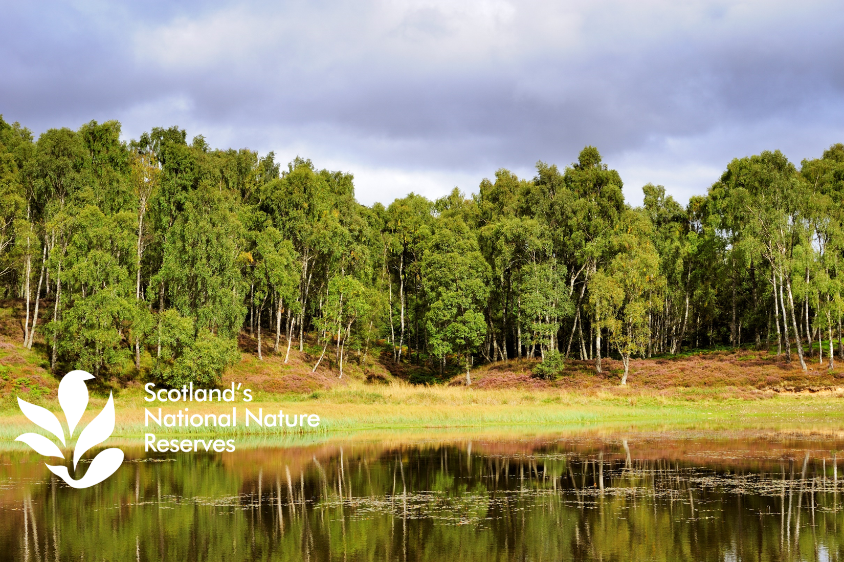 Woodland and lochan
