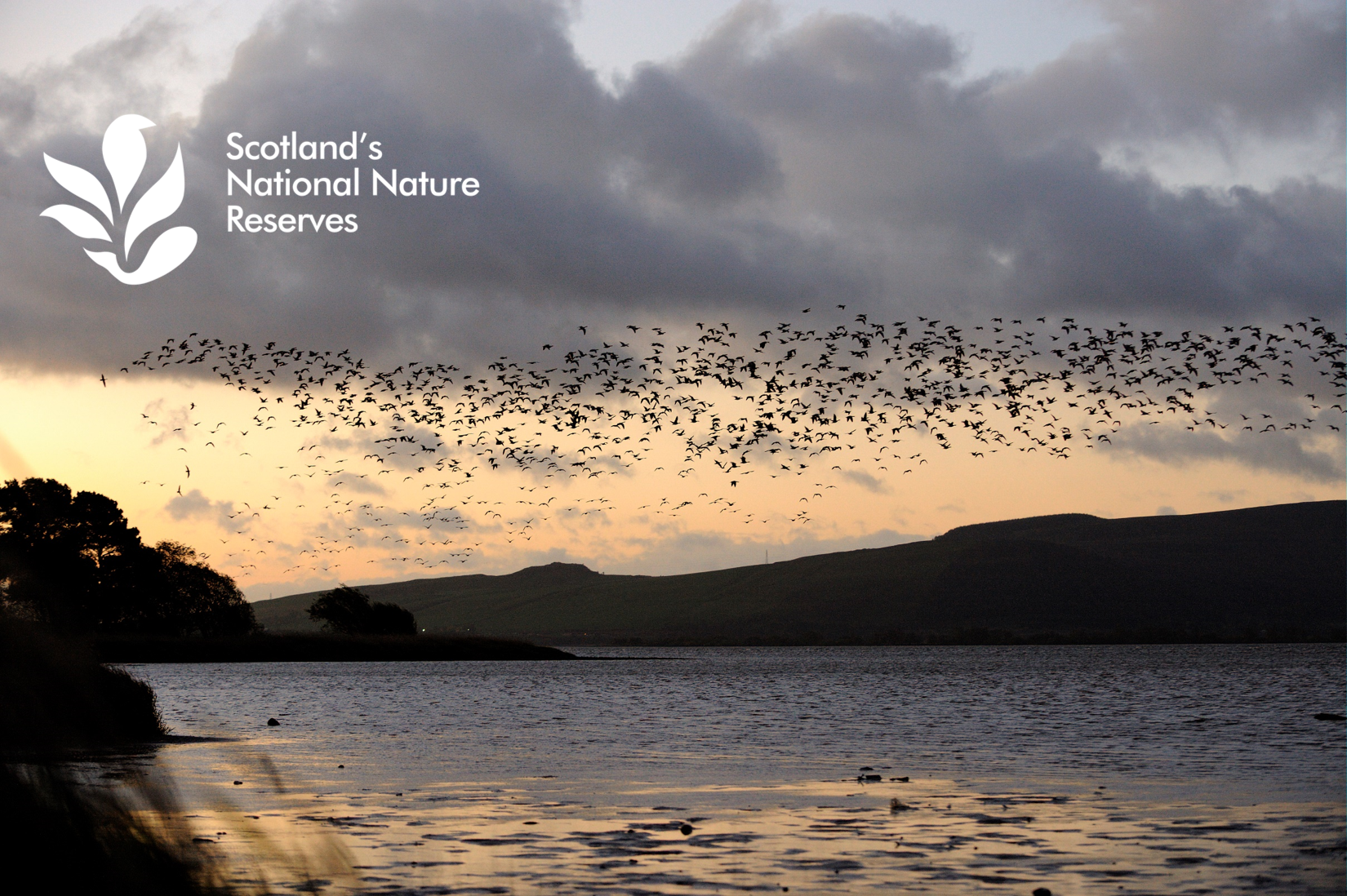 Flying geese