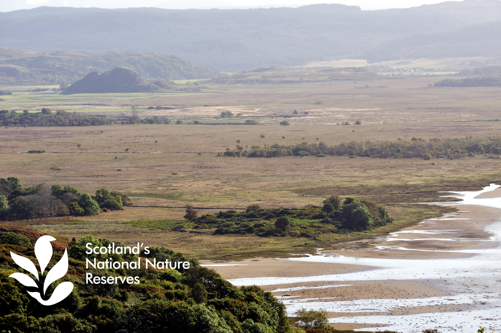 Peatland landscape