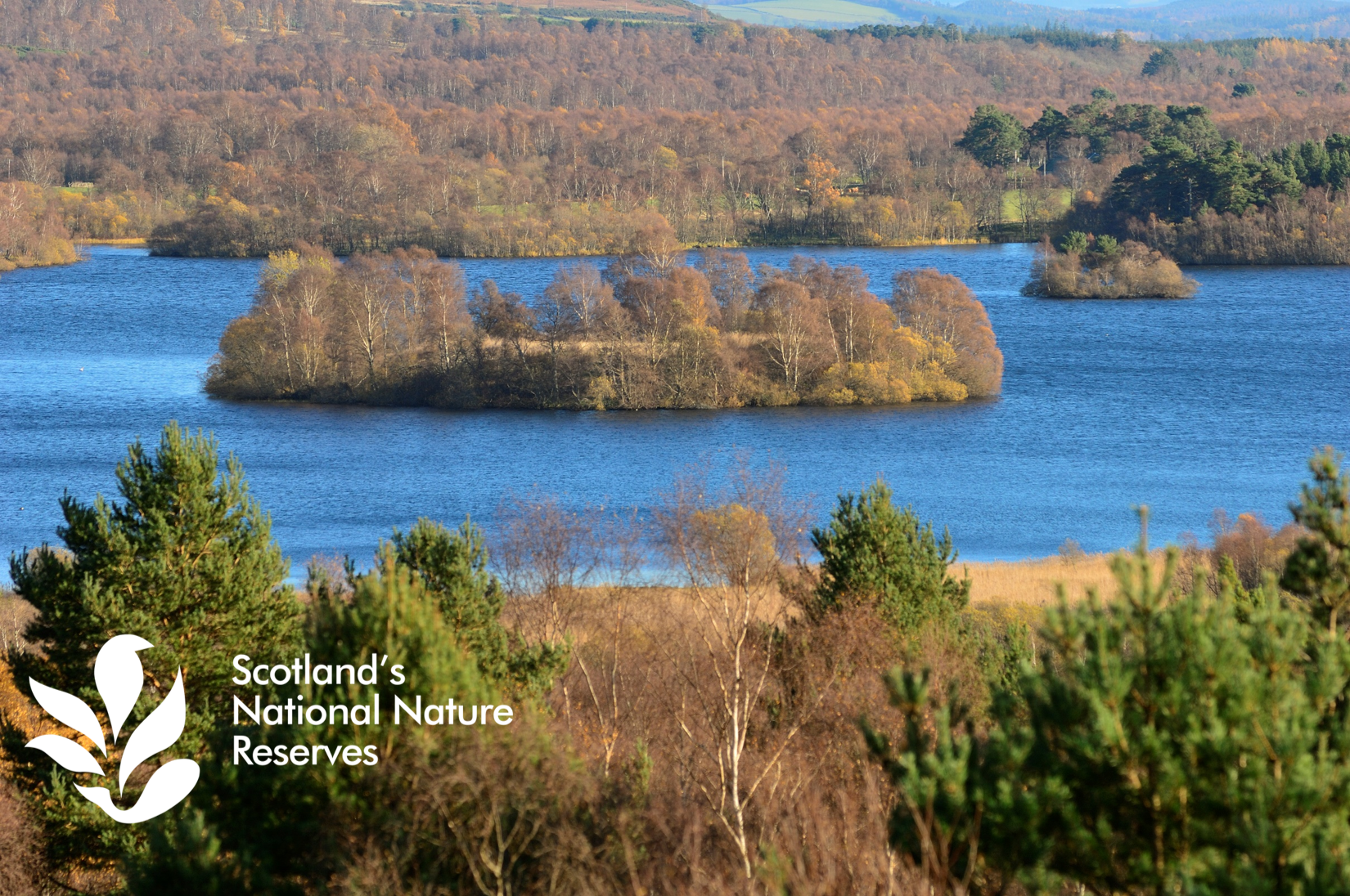 Lochan and woodland