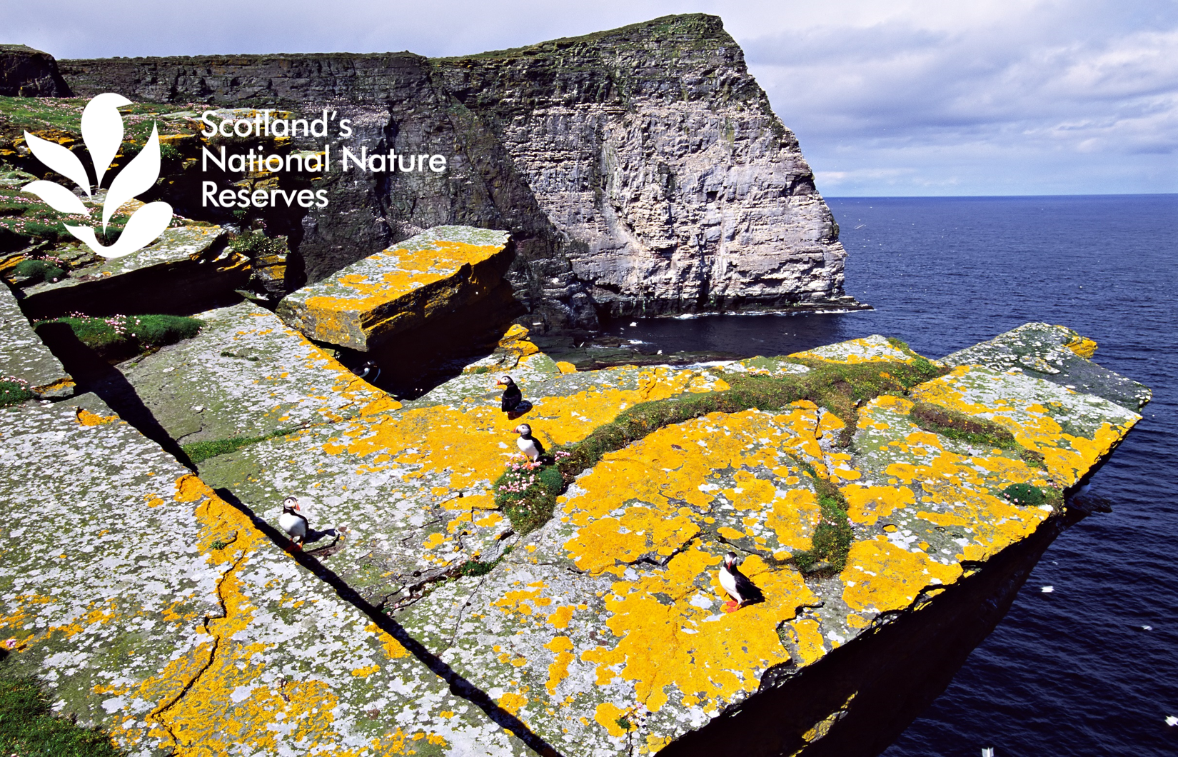 Seacliffs