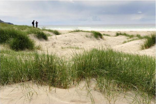 Sand Dunes