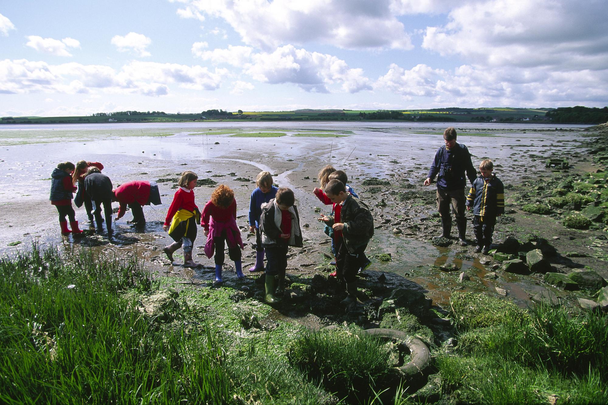 School children on a nature walk on the beach