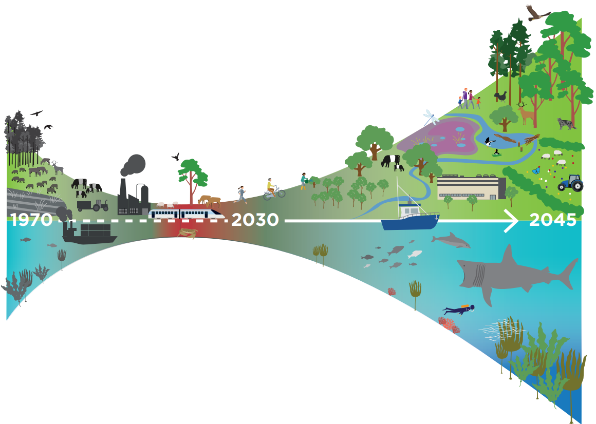 The 'Proposed vision' infographic shows a timeline from 1970 to 2045 depicting biodiversity (examples of flora and fauna) declining and then regenerating by 2045. Its starts with images of how land and sea was used in the 1970s, such as farming, a factory and a fishing trawler. As the timeline progresses its shows a decline in biodiversity and then portrays the decline ending by around 2030. From 2030 to 2045, the image shows how land and sea might be used as biodiversity is substantially restored.