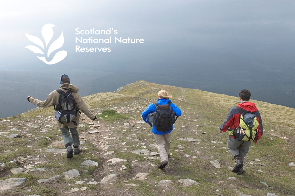Hillwalkers on Ben Wyvis