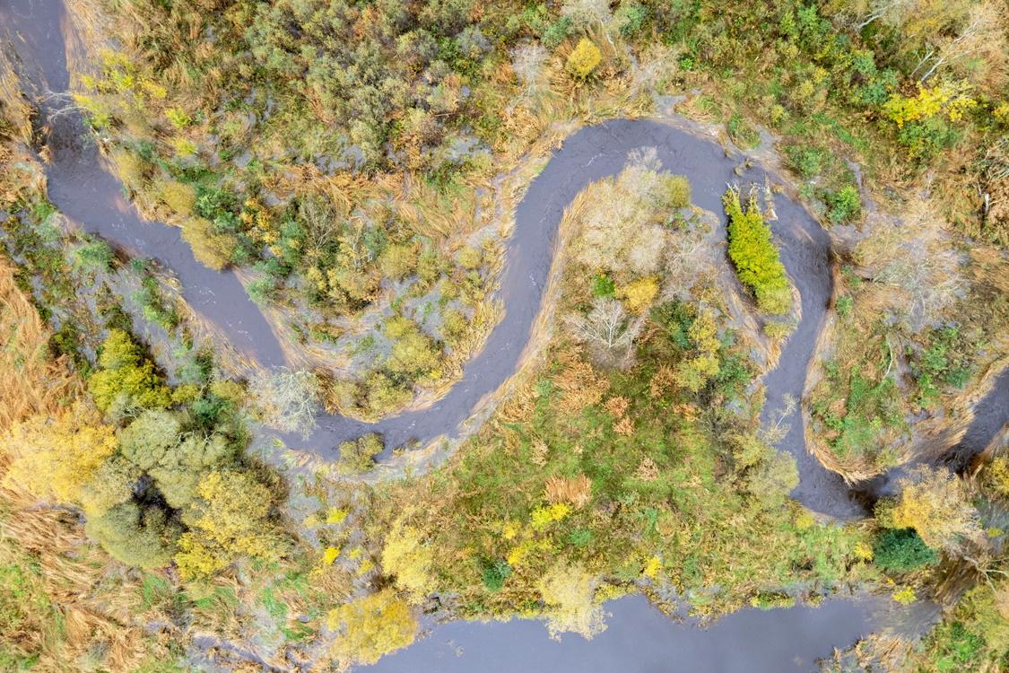 winding river surrounded by woodland