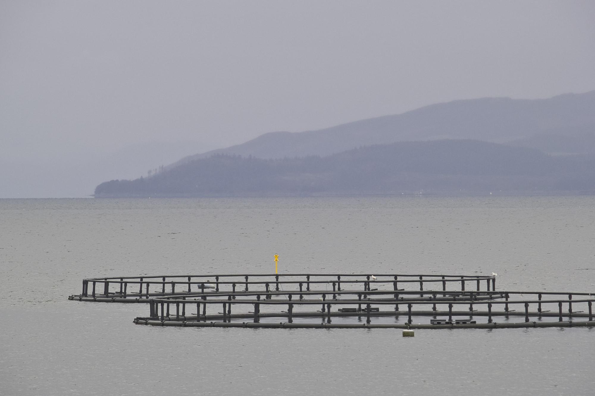 Fish farm on a loch