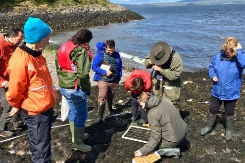 Group out on a shore survey
