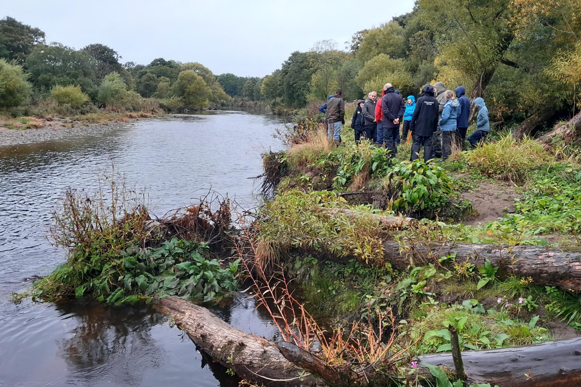 A group of people standing on a riverbank looking at beaver burrowing activity.