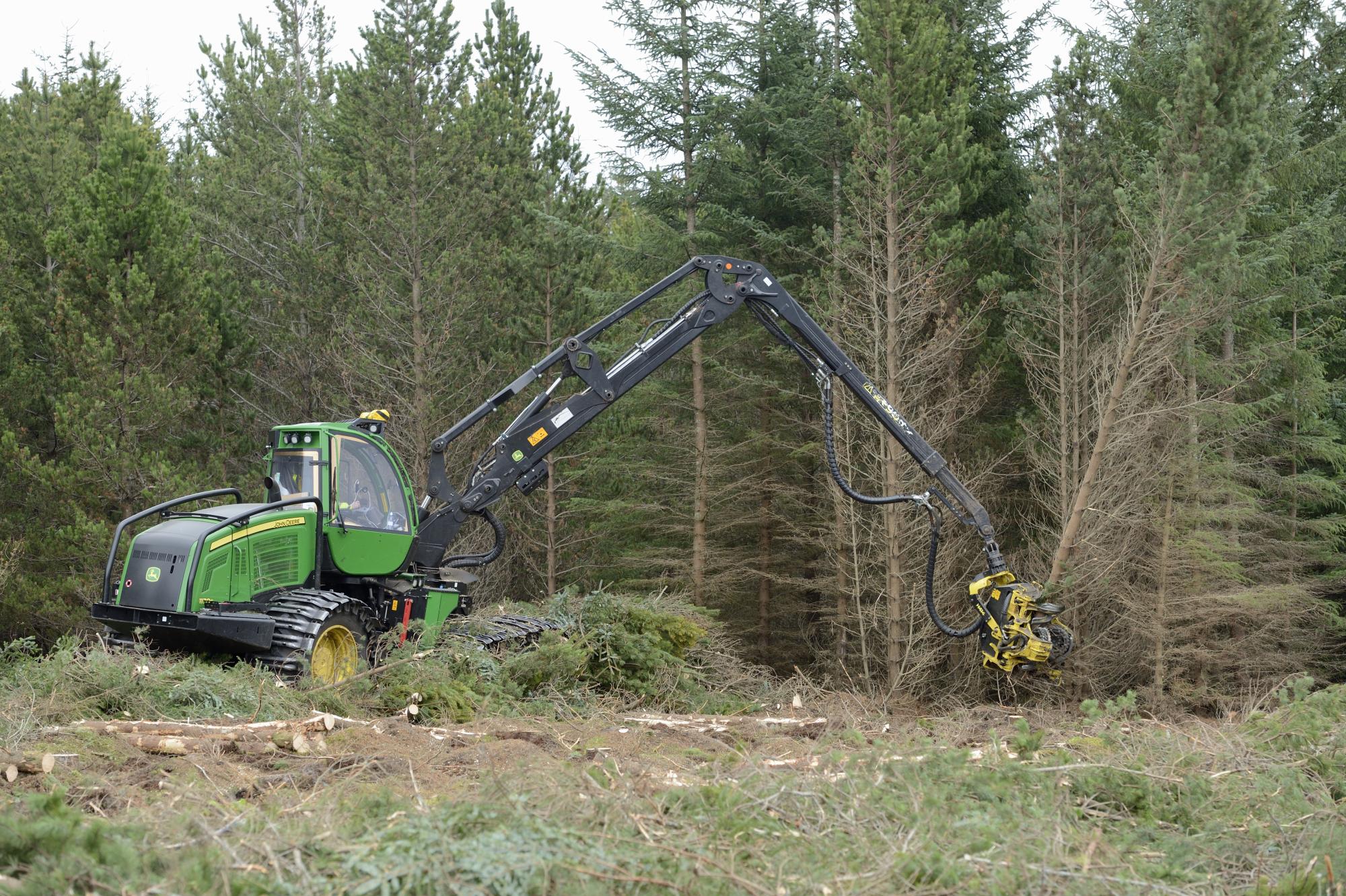 A harvester clear felling a commercial conifer plantation