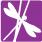 dragonfly icon