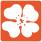 flower icon